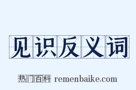 见识反义词是什么意思的图片